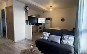Appartement Entier 38M2 T2 Hyper Centre De Dax